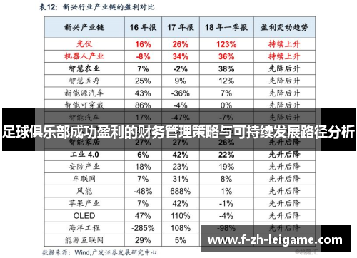足球俱乐部成功盈利的财务管理策略与可持续发展路径分析