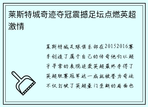 莱斯特城奇迹夺冠震撼足坛点燃英超激情